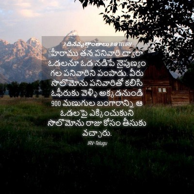 Picture 04 - 2 దినవృత్తాంతాలు 8:18 TELIRV - హీరాము తన పనివారి - Bible Verse Picture