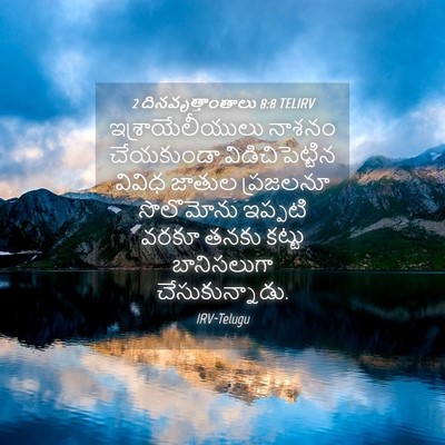 Picture 04 - 2 దినవృత్తాంతాలు 8:8 TELIRV - ఇశ్రాయేలీయులు - Bible Verse Picture