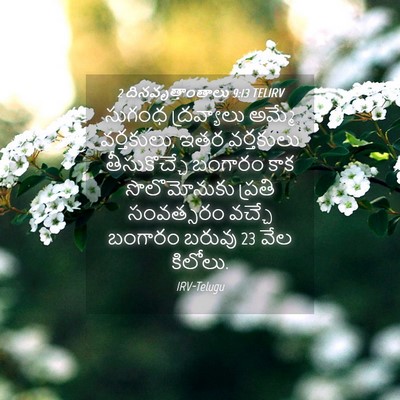 Picture 04 - 2 దినవృత్తాంతాలు 9:13 TELIRV - సుగంధ ద్రవ్యాలు - Bible Verse Picture