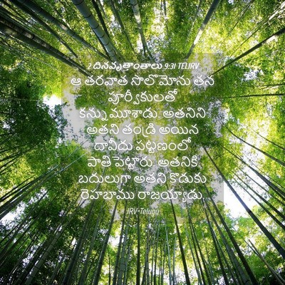 Picture 04 - 2 దినవృత్తాంతాలు 9:31 TELIRV - ఆ తరవాత సొలొమోను - Bible Verse Picture
