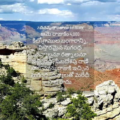 Picture 04 - 2 దినవృత్తాంతాలు 9:9 TELIRV - ఆమె రాజుకు 4,000 - Bible Verse Picture
