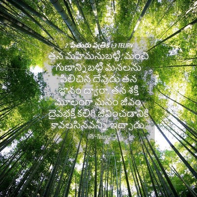 Picture 04 - 2 పేతురు పత్రిక 1:3 TELIRV - తన మహిమనుబట్టి, - Bible Verse Picture