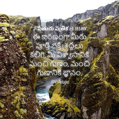Picture 04 - 2 పేతురు పత్రిక 1:5 TELIRV - ఈ కారణంగా మీరు - Bible Verse Picture