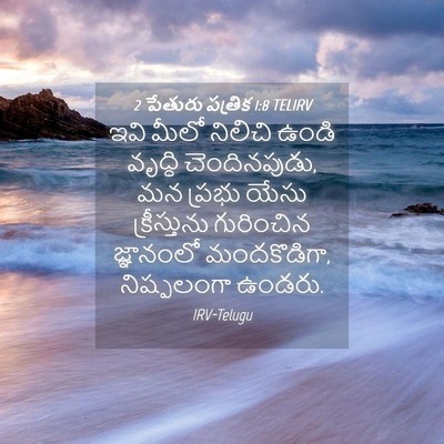 Picture 04 - 2 పేతురు పత్రిక 1:8 TELIRV - ఇవి మీలో నిలిచి - Bible Verse Picture