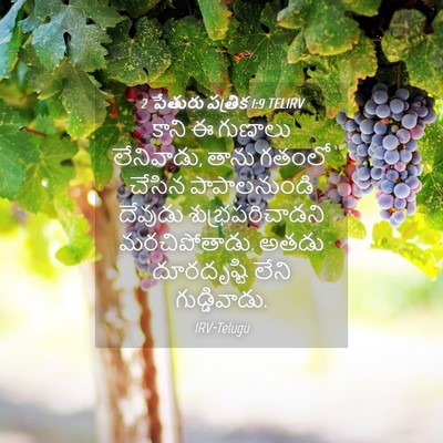 Picture 04 - 2 పేతురు పత్రిక 1:9 TELIRV - కాని ఈ గుణాలు - Bible Verse Picture