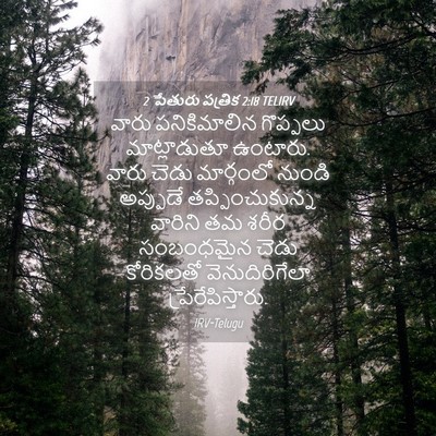 Picture 04 - 2 పేతురు పత్రిక 2:18 TELIRV - వారు పనికిమాలిన - Bible Verse Picture