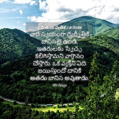 Picture 04 - 2 పేతురు పత్రిక 2:19 TELIRV - వారే స్వయంగా - Bible Verse Picture