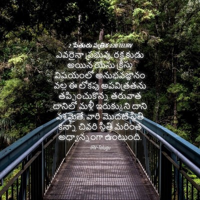 Picture 04 - 2 పేతురు పత్రిక 2:20 TELIRV - ఎవరైనా ప్రభువు, - Bible Verse Picture