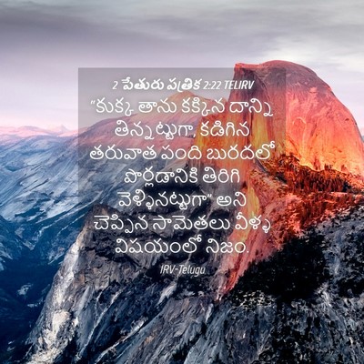 Picture 04 - 2 పేతురు పత్రిక 2:22 TELIRV - “కుక్క తాను - Bible Verse Picture