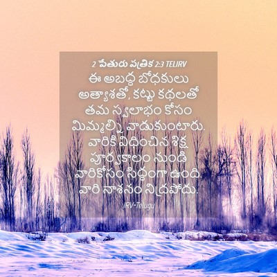 Picture 04 - 2 పేతురు పత్రిక 2:3 TELIRV - ఈ అబద్ధ బోధకులు - Bible Verse Picture