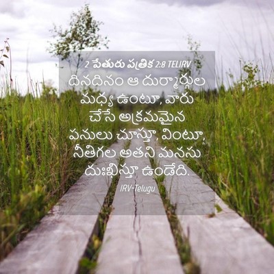 Picture 04 - 2 పేతురు పత్రిక 2:8 TELIRV - దినదినం ఆ - Bible Verse Picture