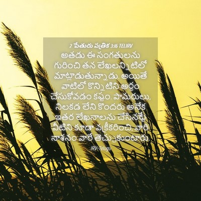 Picture 04 - 2 పేతురు పత్రిక 3:16 TELIRV - అతడు ఈ సంగతులను - Bible Verse Picture