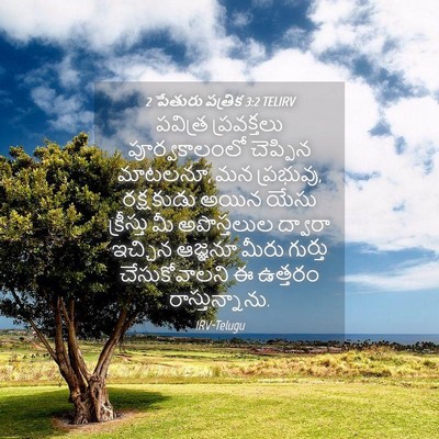 Picture 04 - 2 పేతురు పత్రిక 3:2 TELIRV - పవిత్ర ప్రవక్తలు - Bible Verse Picture