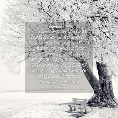 Picture 04 - 2 రాజులు 1:13 TELIRV - అయినా రాజు - Bible Verse Picture