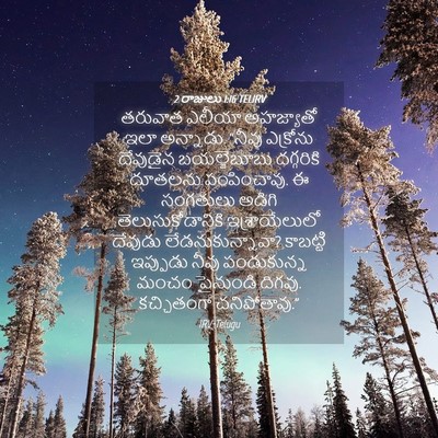 Picture 04 - 2 రాజులు 1:16 TELIRV - తరువాత ఎలీయా - Bible Verse Picture