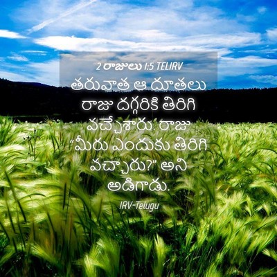 Picture 04 - 2 రాజులు 1:5 TELIRV - తరువాత ఆ దూతలు - Bible Verse Picture