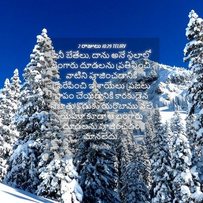 Picture 04 - 2 రాజులు 10:29 TELIRV - కానీ బేతేలు, దాను - Bible Verse Picture