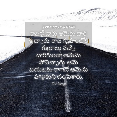 Picture 04 - 2 రాజులు 11:16 TELIRV - కాబట్టి వారు - Bible Verse Picture