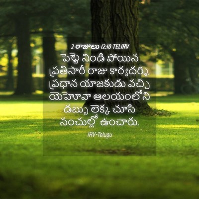 Picture 04 - 2 రాజులు 12:10 TELIRV - పెట్టె నిండి - Bible Verse Picture