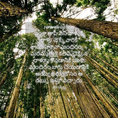 Picture 04 - 2 రాజులు 12:12 TELIRV - ఇంకా తాపీ పని - Bible Verse Picture