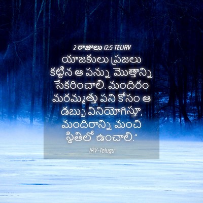 Picture 04 - 2 రాజులు 12:5 TELIRV - యాజకులు ప్రజలు - Bible Verse Picture