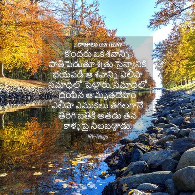 Picture 04 - 2 రాజులు 13:21 TELIRV - కొందరు ఒక శవాన్ని - Bible Verse Picture