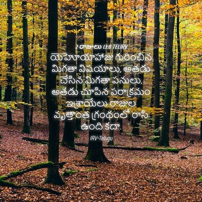 Picture 04 - 2 రాజులు 13:8 TELIRV - యెహోయాహాజు - Bible Verse Picture