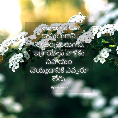 Picture 04 - 2 రాజులు 14:26 TELIRV - దాసులుగాని, - Bible Verse Picture