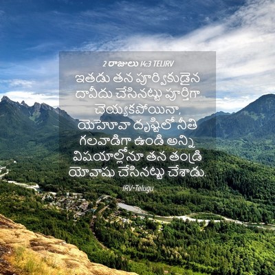 Picture 04 - 2 రాజులు 14:3 TELIRV - ఇతడు తన - Bible Verse Picture
