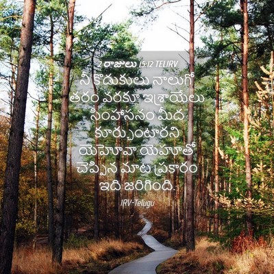 Picture 04 - 2 రాజులు 15:12 TELIRV - నీ కొడుకులు - Bible Verse Picture