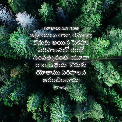 Picture 04 - 2 రాజులు 15:32 TELIRV - ఇశ్రాయేలు రాజు, - Bible Verse Picture