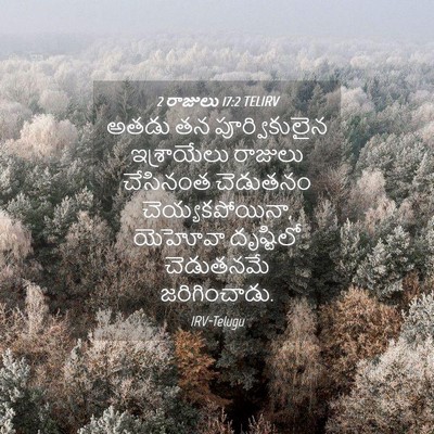Picture 04 - 2 రాజులు 17:2 TELIRV - అతడు తన - Bible Verse Picture