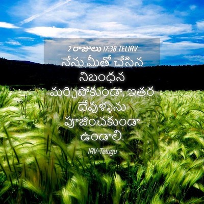 Picture 04 - 2 రాజులు 17:38 TELIRV - నేను మీతో చేసిన - Bible Verse Picture
