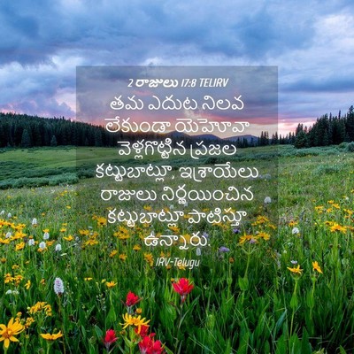 Picture 04 - 2 రాజులు 17:8 TELIRV - తమ ఎదుట నిలవ - Bible Verse Picture