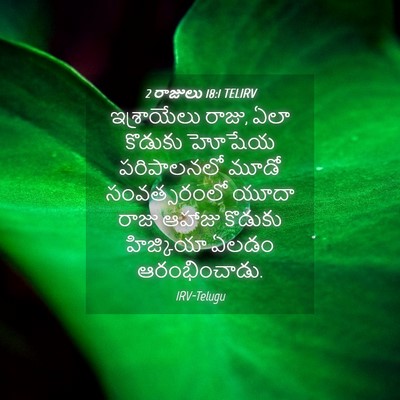 Picture 04 - 2 రాజులు 18:1 TELIRV - ఇశ్రాయేలు రాజు, - Bible Verse Picture