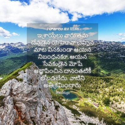 Picture 04 - 2 రాజులు 18:11 TELIRV - ఇశ్రాయేలు వారు తమ - Bible Verse Picture