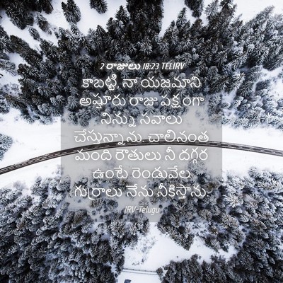 Picture 04 - 2 రాజులు 18:23 TELIRV - కాబట్టి, నా యజమాని - Bible Verse Picture