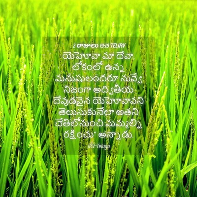 Picture 04 - 2 రాజులు 19:19 TELIRV - యెహోవా మా దేవా, - Bible Verse Picture