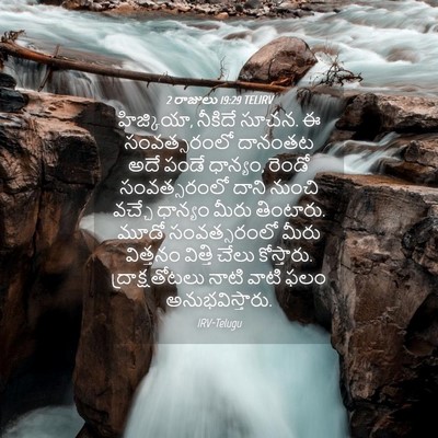 Picture 04 - 2 రాజులు 19:29 TELIRV - హిజ్కియా, నీకిదే - Bible Verse Picture