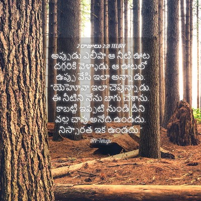Picture 04 - 2 రాజులు 2:21 TELIRV - అప్పుడు ఎలీషా ఆ - Bible Verse Picture