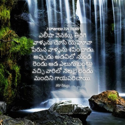 Picture 04 - 2 రాజులు 2:24 TELIRV - ఎలీషా వెనక్కు - Bible Verse Picture