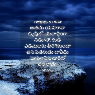Picture 04 - 2 రాజులు 22:2 TELIRV - అతడు యెహోవా - Bible Verse Picture
