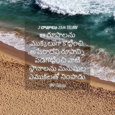 Picture 04 - 2 రాజులు 23:14 TELIRV - ఆ రూపాలను - Bible Verse Picture