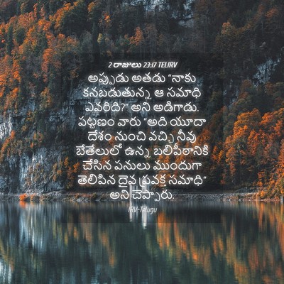 Picture 04 - 2 రాజులు 23:17 TELIRV - అప్పుడు అతడు - Bible Verse Picture