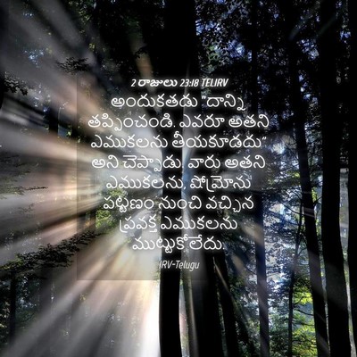 Picture 04 - 2 రాజులు 23:18 TELIRV - అందుకతడు “దాన్ని - Bible Verse Picture