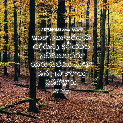 Picture 04 - 2 రాజులు 25:10 TELIRV - ఇంకా నెబూజరదాను - Bible Verse Picture