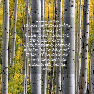Picture 04 - 2 రాజులు 25:27 TELIRV - యూదారాజు - Bible Verse Picture