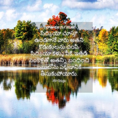 Picture 04 - 2 రాజులు 25:7 TELIRV - సిద్కియా చూస్తూ - Bible Verse Picture