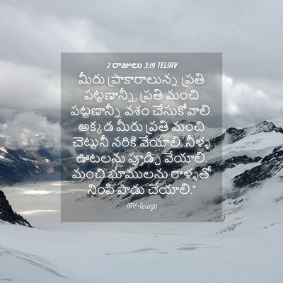 Picture 04 - 2 రాజులు 3:19 TELIRV - మీరు - Bible Verse Picture