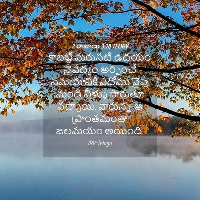 Picture 04 - 2 రాజులు 3:20 TELIRV - కాబట్టి మరుసటి - Bible Verse Picture